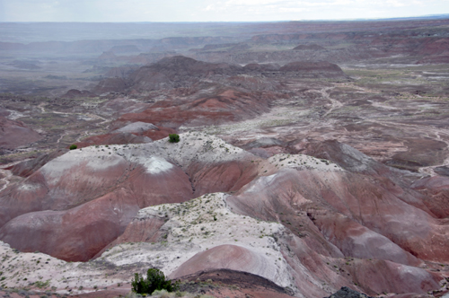 Tawa Point at the Painted Desert